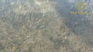 ДНТ «Мой Кумкуль» 20-08-2025