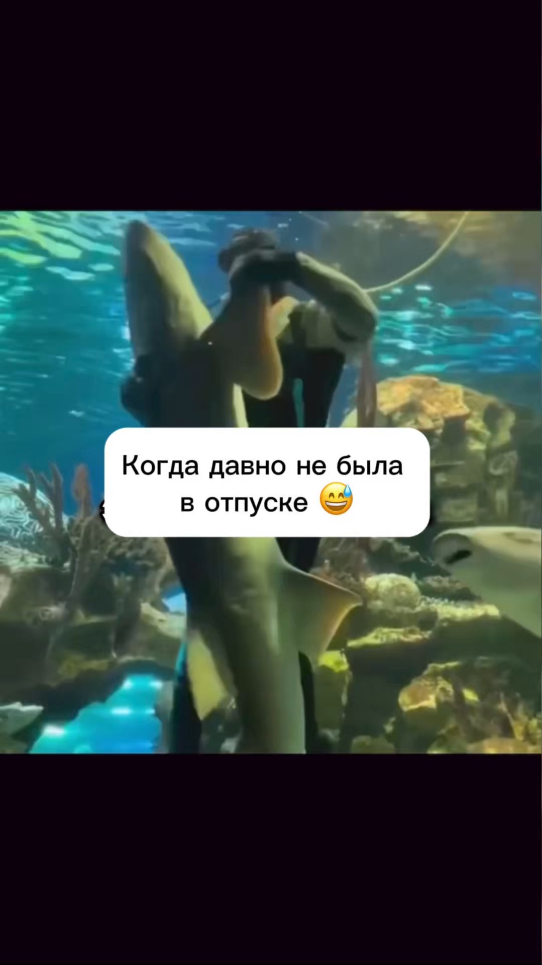 Акулы? Да вообще пофиг😂