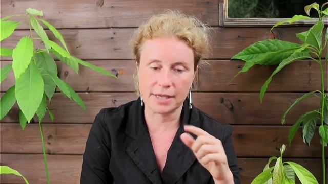 Закрываю открытые группы Фулвари: последний набор (сент–декабрь 2025) (О группах для новичков)