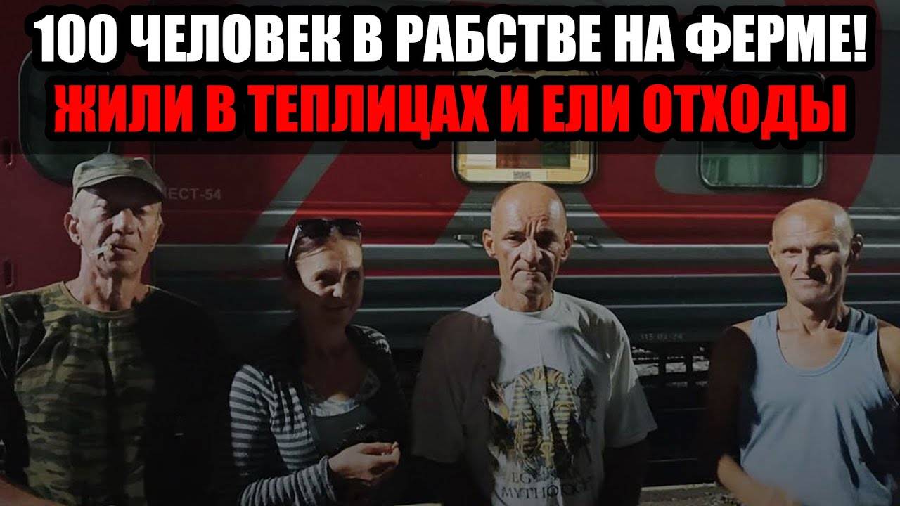 Волонтеры раскрыли ферму с сотней рабов под Воронежем — что известно на данный момент смотреть онлайн