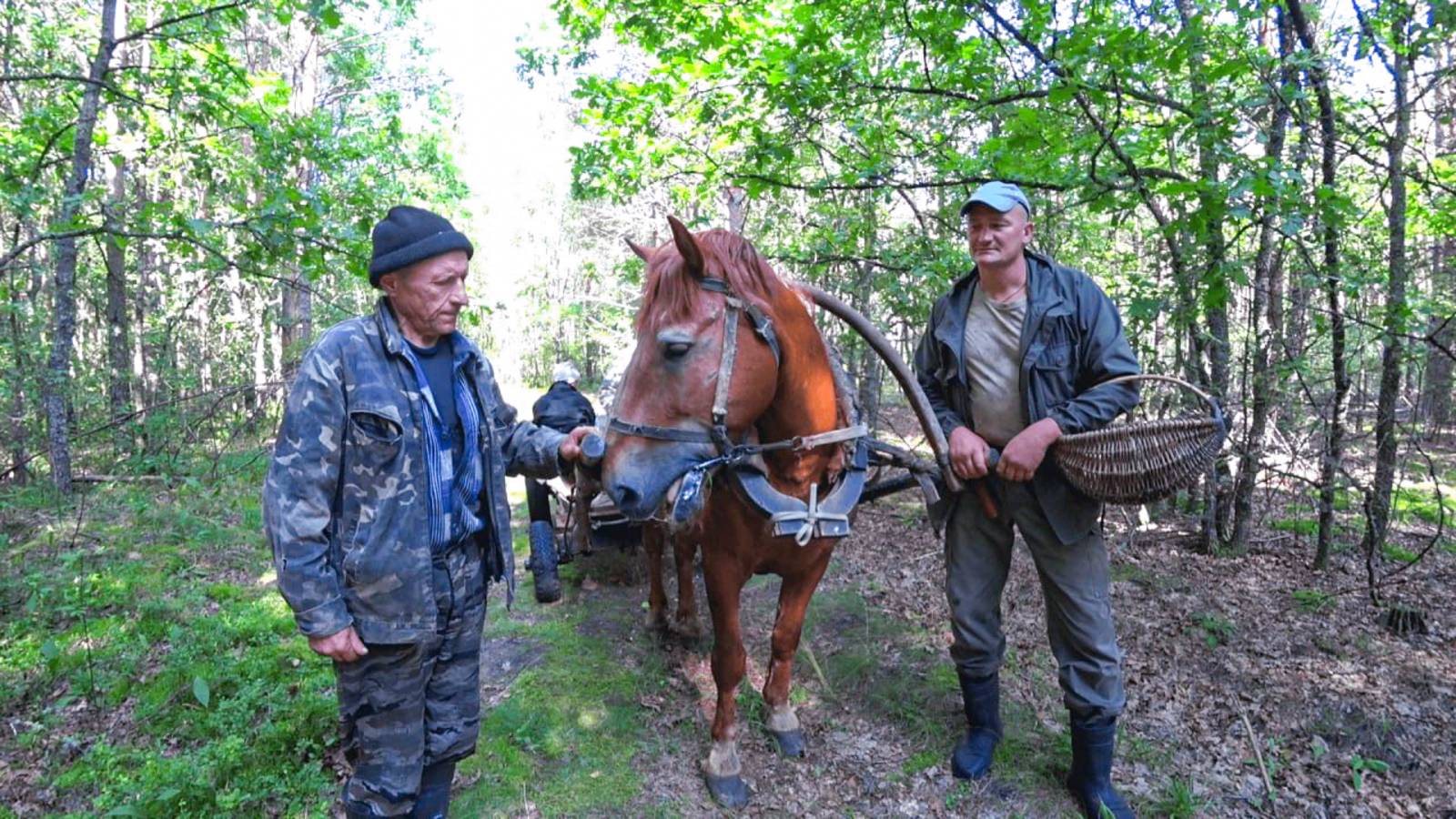 КАК ЖИВУТ ЛЮДИ в БЕЛАРУССКОЙ ГЛУШИ. ЖИЗНЬ в ГЛУХОЙ , ЛЕСНОЙ ДЕРЕВНЕ. №356 смотреть онлайн