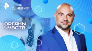 Органы чувств — Как устроен мир с Тимофеем Баженовым (20.08.2025)