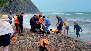 ВНИМАНИЕ‼️Утонули люди. Архипо-Осиповка.ШТОРМ #архипка #архипоосиповка #черноеморе