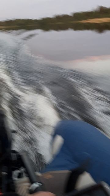 Прогулка на лодке с мотором. Природа класс. смотреть онлайн