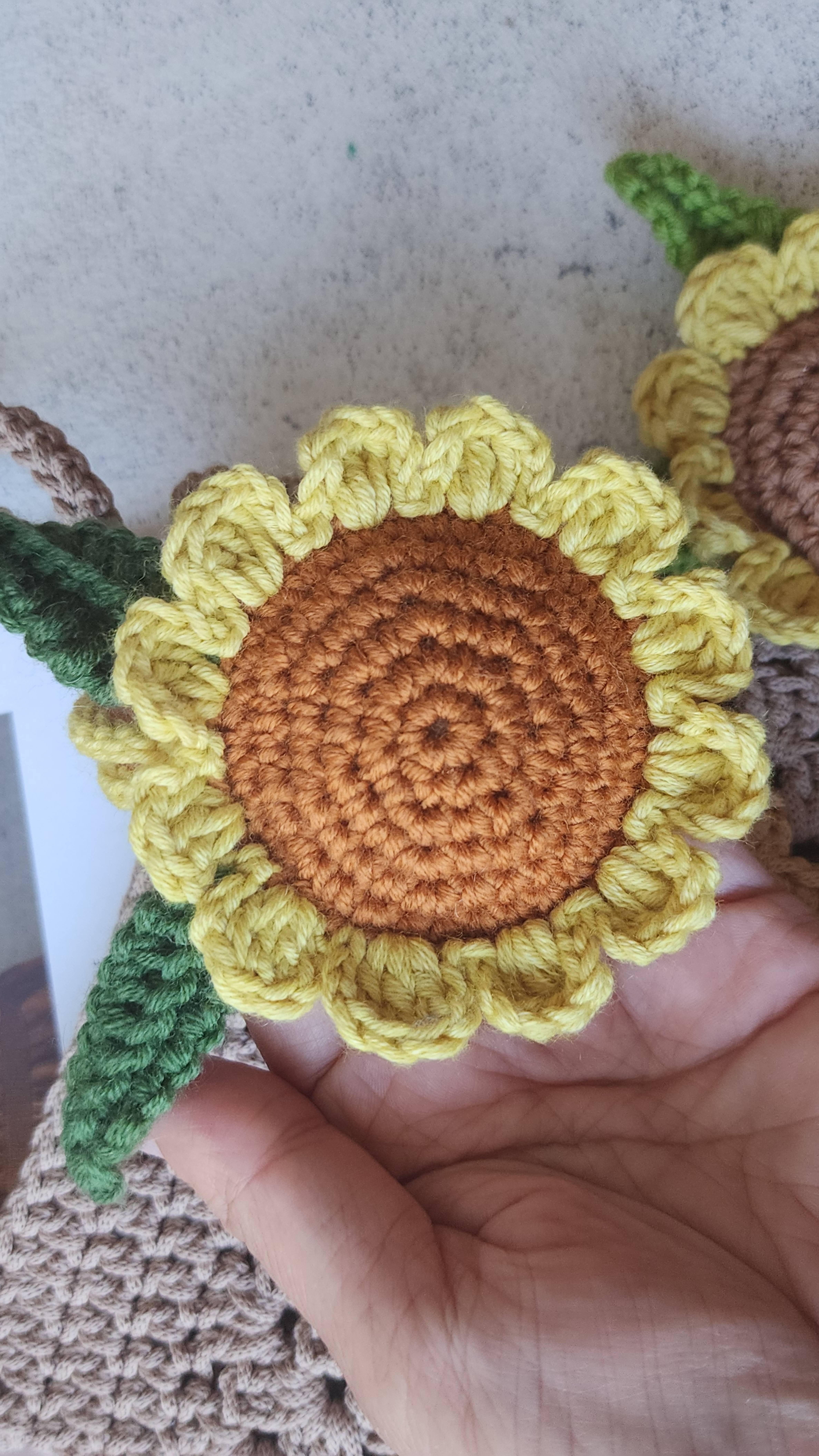 Заключительный ряд середины подсолнуха