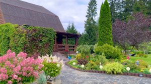 Сажаем и пересаживаем. Переделки продолжаются.