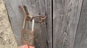 Деревенские будни 🔥🌿