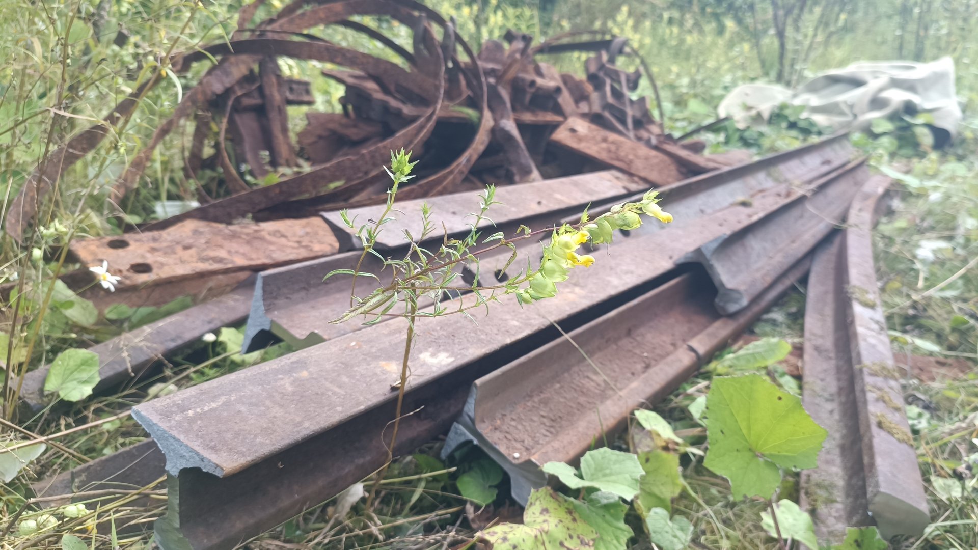 Вторая партия металла с уса, ещё + 800 кг