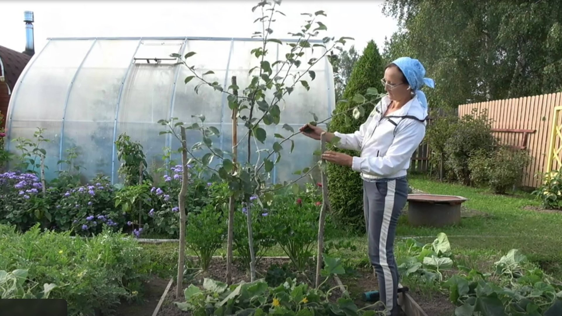 6 соток 17 августа 2025 года. 2 часть смотреть онлайн