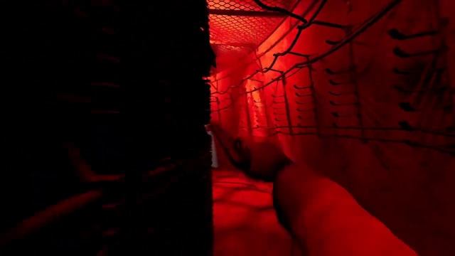 Сталкер 2_Воспоминание доктора Б .Кайманова (болотный доктор)