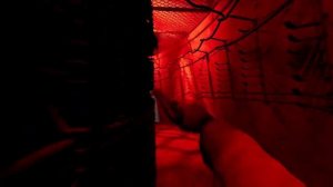 Сталкер 2_Воспоминание доктора Б .Кайманова (болотный доктор)