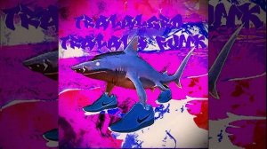 TRALALERO TRALALA FUNK