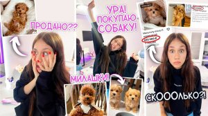 У Меня СКОРО БУДЕТ ЩЕНОК  ❤️ Мальтипу ❤️