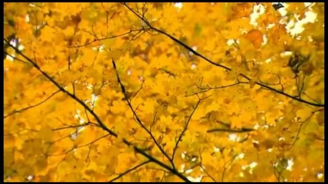 Мы теперь уходим понемногу_Моя семья