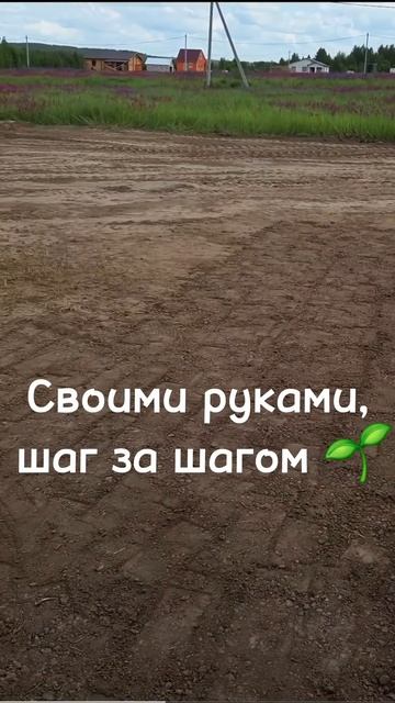 Из пустыря сделали рай  Вот как! #shorts #деревня #дача #свойдом #благоустройство #доипосле #мечта