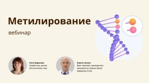 ВСЕОБЩЕЕ МЕТИЛИРОВАНИЕ (не только генома)