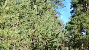 Почем у я не беру деньги в долг? Немного о финансовой грамотности