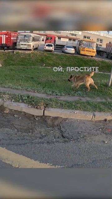 Как быть? смотреть онлайн