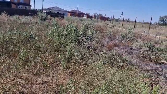5833067 смотреть онлайн