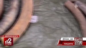 Телеканал «РЕН ТВ», программа «Экстренный вызов 112», 15.08.2025