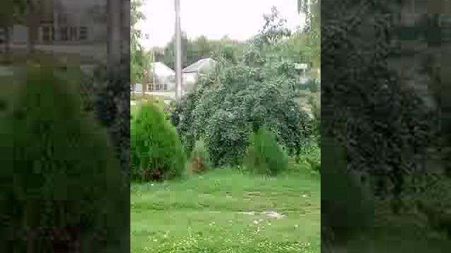 Люди - это вся травля за день