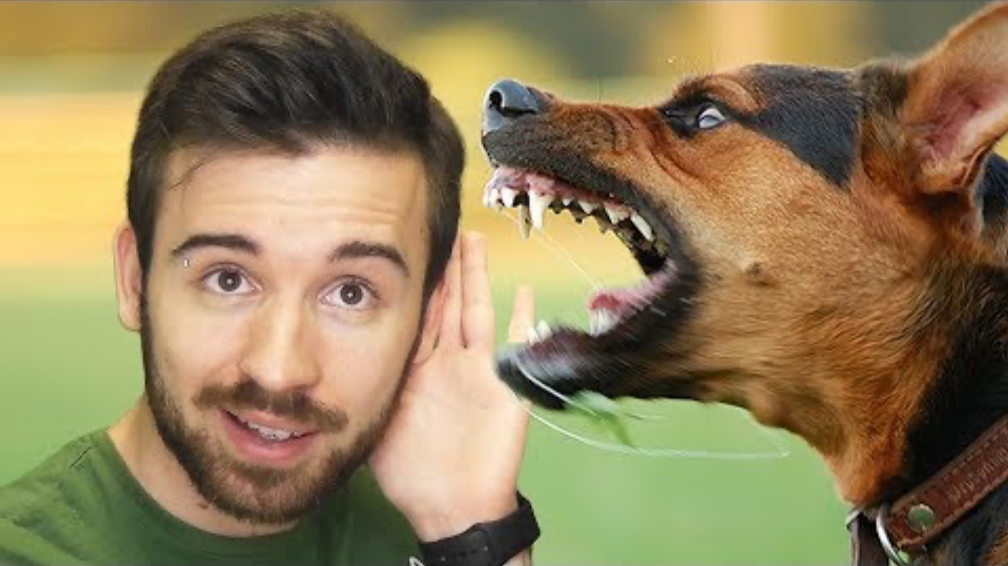 О ЧЕМ ГОВОРЯТ СОБАКИ | [5 Угарных Приложений] смотреть онлайн