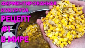 ФЕРМЕНТИРОВАННАЯ ＂ПЬЯНАЯ＂ КУКУРУЗА. РЕЦЕПТ #1 В МИРЕ (1июня 2024) #рыбалка #карп #сазан #белыйамур