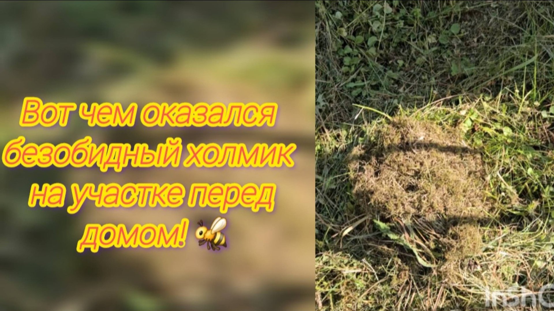 Неожиданная находка