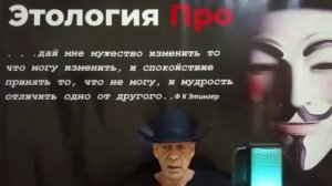 Эффект Бабье лето  Почему женщины меняются осенью