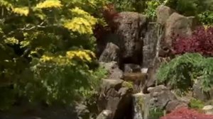 Баджан Шри Кришне - Madhurashtakam