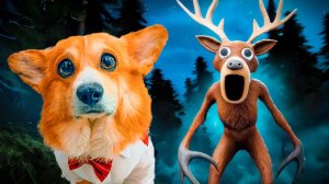 99 ДНЕЙ УБЕГАЕМ ОТ ОЛЕНЯ ПОЖИРАТЕЛЯ!! Корги Коржик Говорящая собака