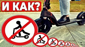 Что происходит с электросамокатами в России? Почему ими все недовольны?