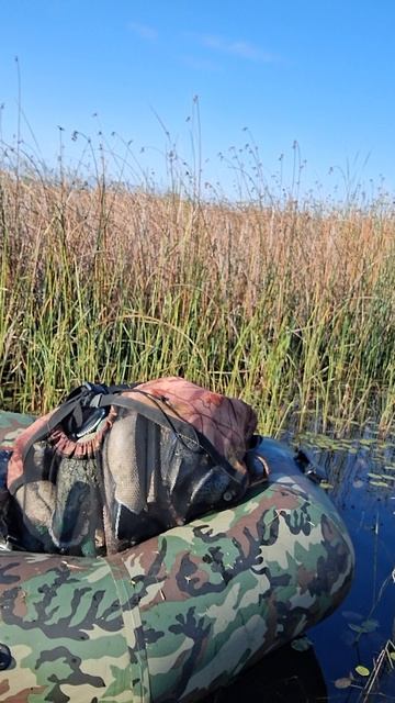 Охота на утку