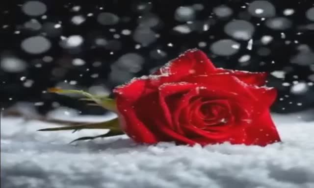 С ДОБРЫМ УТРОМ! "ТЫ ЛЮБИЛ МЕНЯ..." ПЕСНЯ-СУПЕР! смотреть онлайн