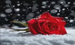 С ДОБРЫМ УТРОМ! "ТЫ ЛЮБИЛ МЕНЯ..." ПЕСНЯ-СУПЕР!