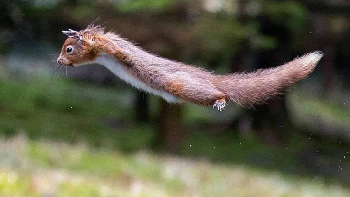 День рождения Чебурашки смотреть онлайн