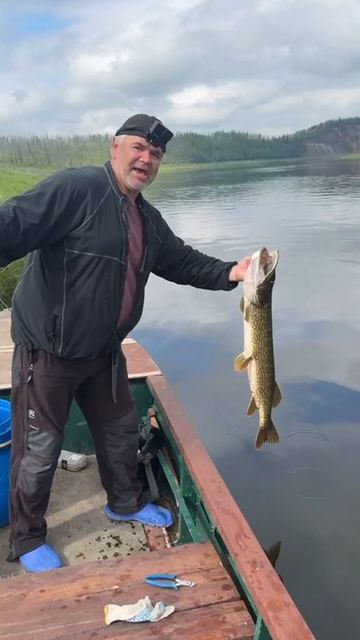 Гуляй, щука!