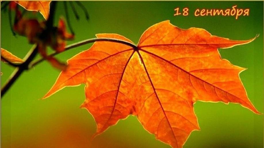 Кленовый лист смотреть онлайн