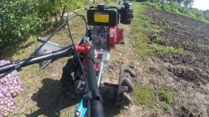 Мотоблок Boxbot дизель