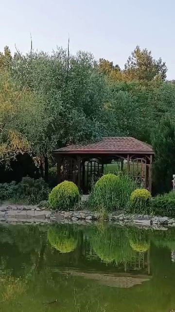 Спи моя радость