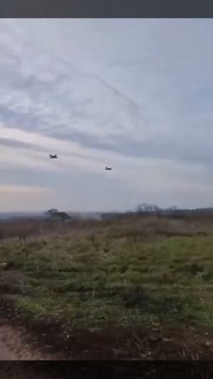 СУшечки - красавчики!