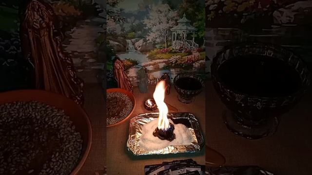 🔥💫✨🍀ЧИСТКА ОТ ПОРЧИ НА РАЗОРЕНИЕ, НА ПОТЕРЮ ЖИЛЬЯ (бездомная)!🌘 Таро. Магия. Таролог. смотреть онлайн