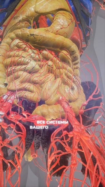 Зачем осваивать ченнелинг? смотреть онлайн