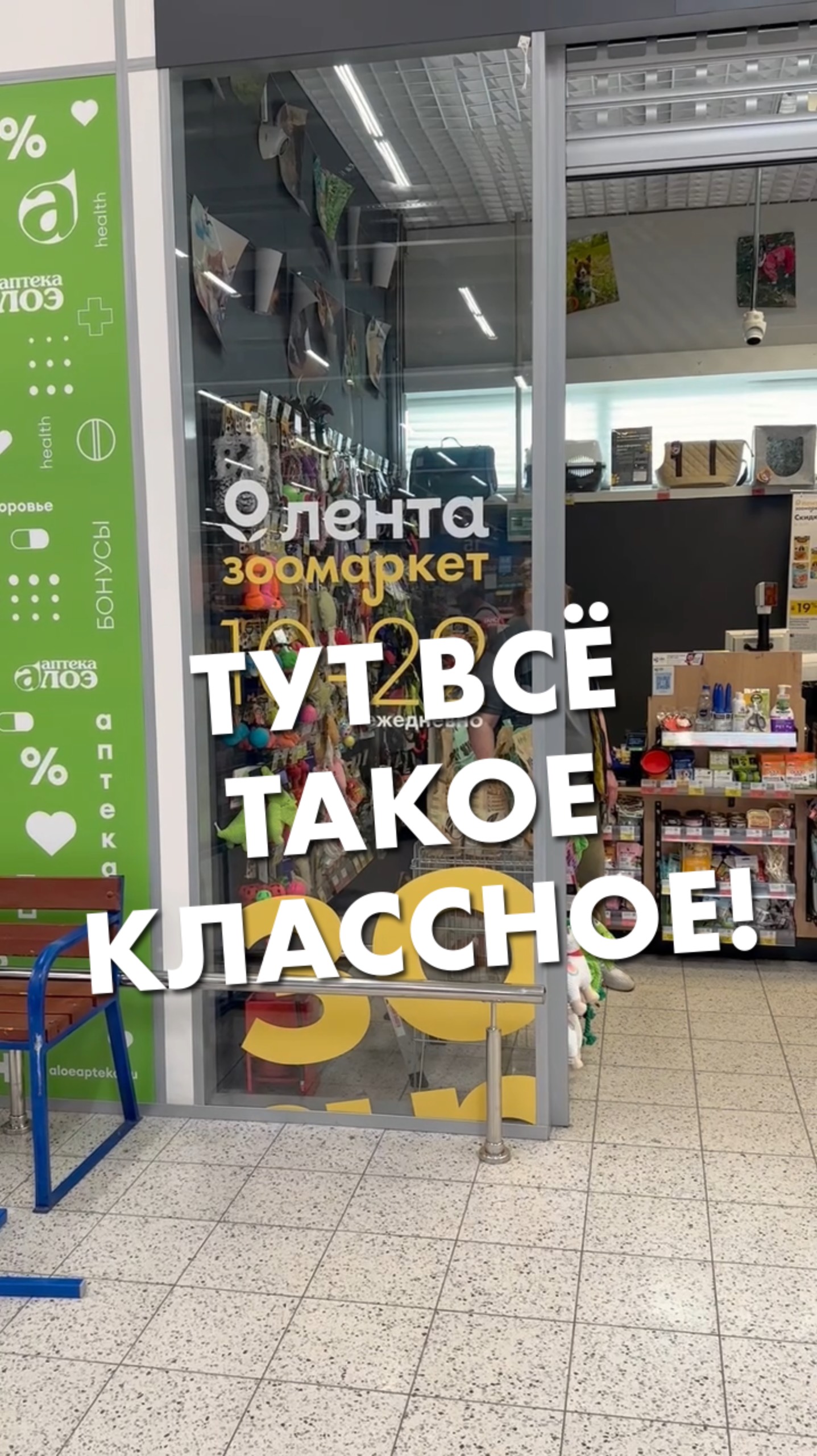 POV: вы пришли в «Ленту Зоомаркет» за кормом для питомца 😹 смотреть онлайн