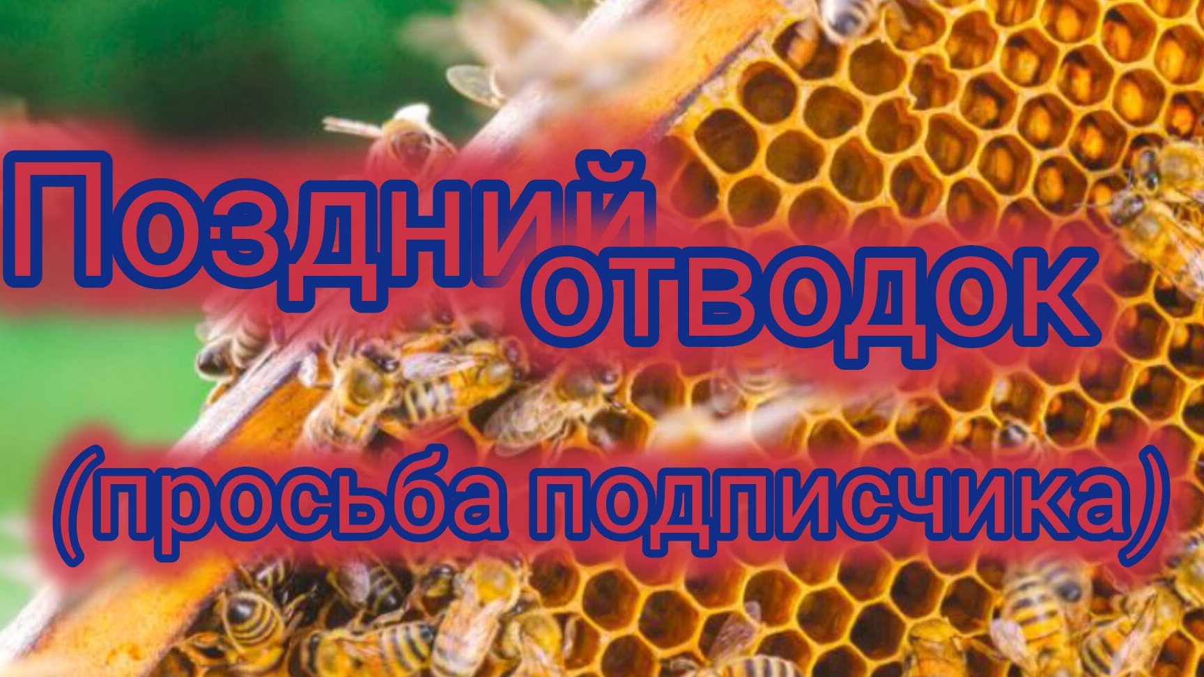 Поздний отводок ( просьба подписчика) смотреть онлайн