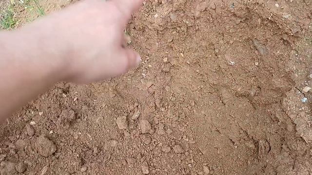 Поиск золота смотреть онлайн