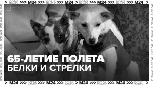 В России отметят 65-летие полета Белки и Стрелки - Москва 24