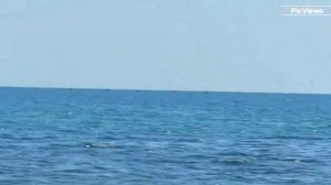 КРЫМ Судак сегодня 20 августа 2025. Какая погода в Крыму сейчас, обстановка на Диком пляже, море