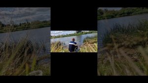 рыбалка на Которосли