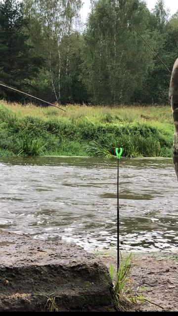 ЭПИЧНАЯ РЫБАЛКА | ЛЕЩ | БУРЯ ЭМОЦИЙ НА БЕРЕГУ🎣🐟 #fishing #рыбак #лещ #донка #река #рыбалка #фанаты